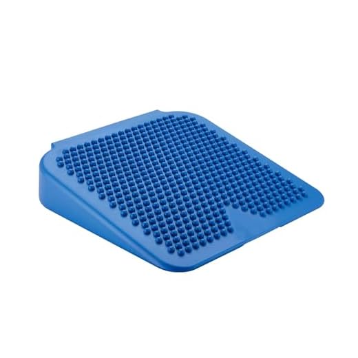 Gymnic "Movin' Sit Air Cushion - Blue