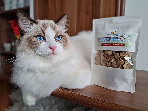 I Love My Cat Hochwertige Freeze-Snacks für Katzen mit Hühnerherzen (gefriergetrocknet), gut bekömmlich, kohlenhydratarm und ohne künstliche Zusatzstoffe - 25 g