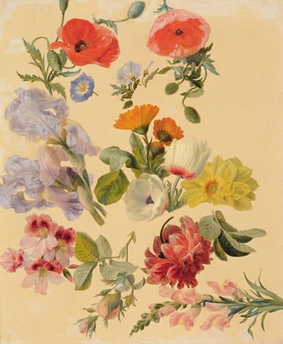Art mural Études de fleurs d'été Jacques Laurent Agasse impression prestige pour grand bureau