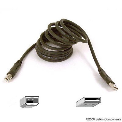 Belkin Pro Series Hi-Speed USB 2.0 A/B Cable, Type A Male USB - Type B Male USB, 6ft