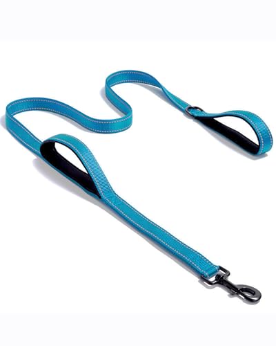 Solmoony 6�t�B�[�g �u���[ �X�g�����O�h�b�O���[�h �p�b�h�t���n���h��2�t�� �g���t�B�b�N�n���h�� �G�N�X�g���R���g���[�� ���ʔ��˃E�H�[�L���O���[�h ���^���^���Ƒ�^���p(�u���[�A6�t�B�[�g)