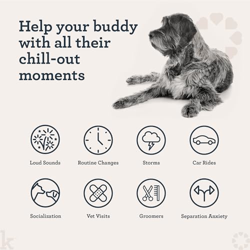 Image of Kradle Bliss Bars for Dogs - Peanut Butter Flavored Calming - GABA L-Theanine - On The Go Packaging - Supports a Calm Demeanor - 6 Bars (Pack of 2)