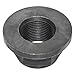 DuraGo Axle Nut - 29599010