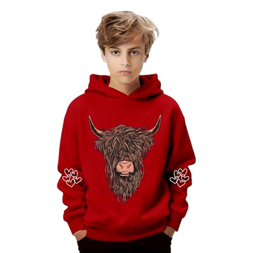 Sudadera Niño Algodon - Sudaderas Niño con Capucha Sudadera con Cremallera Ropa de Deporte Algodón Sudadera Cremallera Niños con Cremallera y Bolsillo Cuello Redondo Blusas Ropa Pull-Over#A