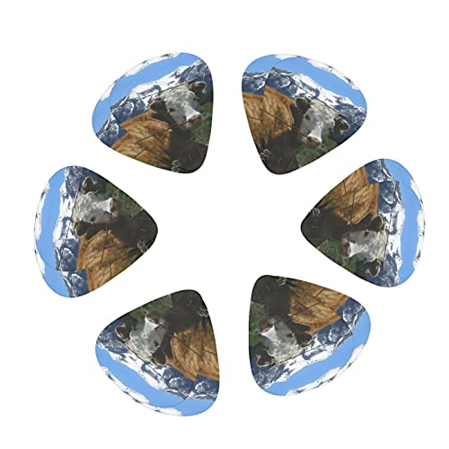 Ensemble de 12 médiators de guitare vache Animal de ferme pour guitare acoustique, guitare électrique, contrebasse… - Les Beatles, Paul McCartney, John Lennon, RIngo Starr, George Harrison Ensemble de 12 médiators de guitare vache Animal de ferme pour guitare acoustique, guitare électrique, contrebasse… – Image 3
