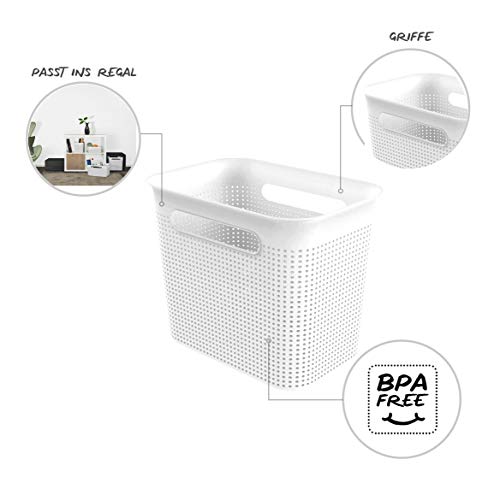 Rotho Brisen Contenitore Stretto con 2 Maniglie