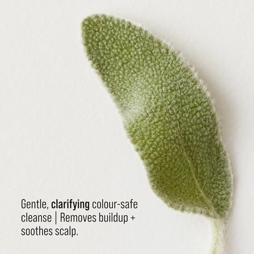 AG Care Renew Clarifying Shampoo, Remove Build Up, Colour Safe Sulfate-Free Shampoo, 10 Fl Oz