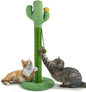 Cat Scratching Post