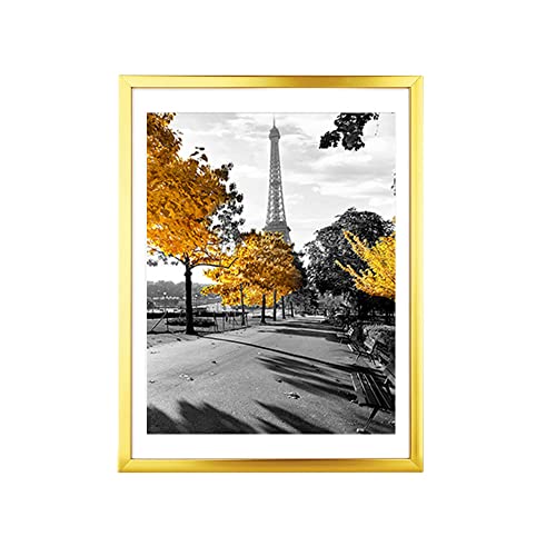 XZJMY 11x14 ʐ^t[ A~tHgt[ 8.5x12C` }bgt 11x14C` }bgȂ ǎttHgt[ S[h/ubN(S[h)
