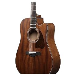 Ibanez AW1040CE-OPN – Guitare Acoustique - Les Beatles, Paul McCartney, John Lennon, RIngo Starr, George Harrison Ibanez AW1040CE-OPN - Guitare Acoustique – Image 4