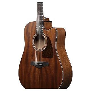 Ibanez AW1040CE-OPN - Guitare Acoustique – Image 4