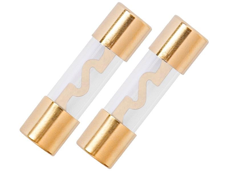 2 fusibili AGU 40A tubo di vetro dorato rivestimento auto Power linea Tube Audio Power