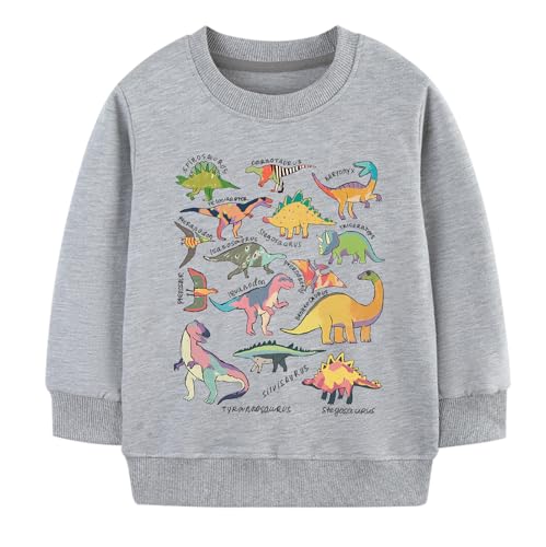 Chipeler Toddler Sweatshirts Boys Dinosaur Cotton Tops Kids Daily Wear Clothes Dinos Clothes 3T