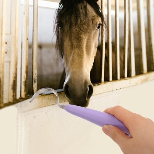 HANABASS Picareta De Casco De Cavalo Ferramenta De Limpeza De Ferradura Animal Equino Aliciamento De