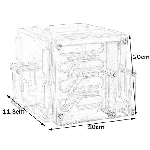 ZSBY Mieren Boerderij Insect Mier Villa Ant Workshop Insect Cage Puzzel Grote Mieren Nest Kids Educatief Speelgoed Twin… - Afbeelding 3