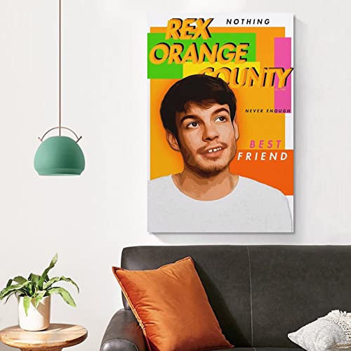 Poster Rex Orange County impression sur toile haute définition - 5