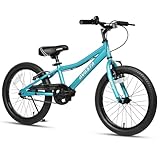 AVASTA 20 Zoll Kinderfahrrad für 6 7 8 9 10 Jahre alte große Kinder Jungen Mädchen Teenager mit Dual Handbremsen & Kickständer und verstellbarem Sitz, Arktis