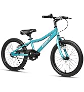 Amazon | AVASTA BucchusBMX 自転車 20インチ フリースタイルBMXバイク