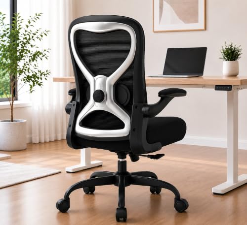 Ergonomic Home Office Chair 4Way Lumbar Thick Cush Review