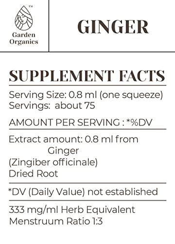 Ginger Alcohol-Free Natural Tincture Extract, Immune System Booster, Liquid Drops Made From 100% Ginger (Zingiber Officinale) Dried Root (2 Fl Oz) #TOP1