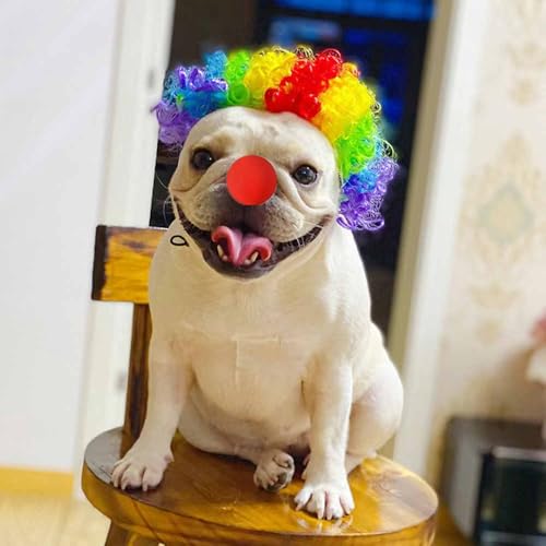 Set Disfraz Payaso para Perro con Peluca Ajustable miniatura 4