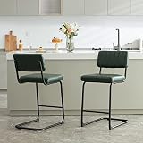 Farini Counter Height Bar Stools Set of 2,27 inch Modern Barstools PU Leather Backrest Solid Metal B