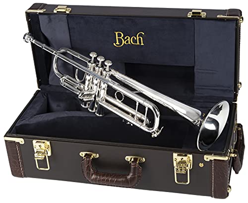 Bach Trumpet-Standard, Silver (180S37) - Thumbnail 5