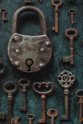 Accounts Password Log Book, 400+ Entries, Comprehensive for All Types
