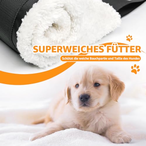 Verstellbarer Hunde Tragehilfe, Tragbarer Tragegurt zur Rehabilitation von kleine Hunden - Gehhilfe mit Griffen als Sicherheitsunterstützung für behinderte, verletzte oder ältere Hunde