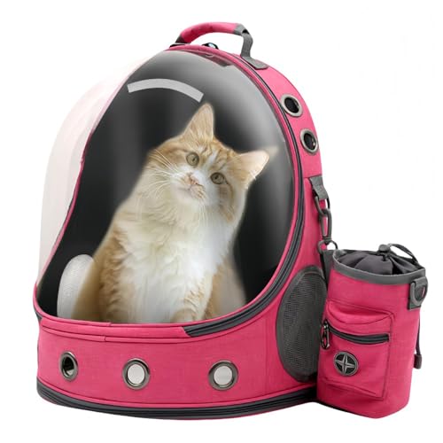 RoastMe ybgobO ybgL[ bN FDJvZ^ TbN Lp lR  bN^ybg P[W L ^p bNTbN2way  8kgω׏d ʋC op s ʉ@ ً} [obOt O ([