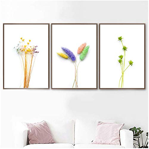 Toile photo plante et fleur 50x70cm sans cadre pour decoration murale salon