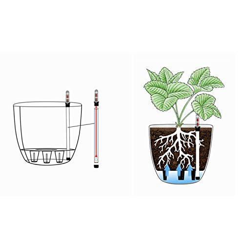 Pots de fleurs pour plantes grasses avec indicateur d'eau T4U, lot de 4 - 8