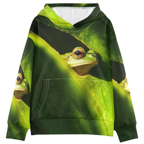 IRYULJX Soft Kids Sweatshirts Boys Size 12-13Y Green Frog Lovely Animal