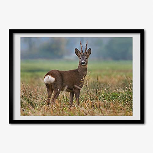 Cadre en bois chevreuil 70x50 cm Tulup avec finitions premium pour affiche et tableau