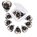 Pekingese Dog print Guitar Picks 12 Pack Personalized Guitar Picks with Storage Box Guitar Accessories for Ukulele Electric Acoustic Guitars Bass