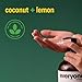 Everyone 2-in-1 Lotion for Hands/Body, 32 ounce (Pack of 2) Coconut and Lemon made with Essential Oils for Men and Women