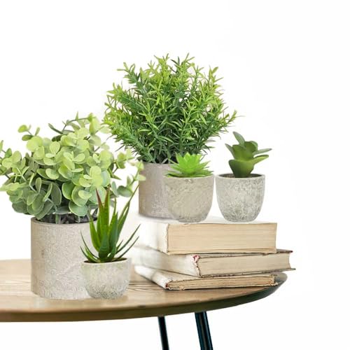 DOT tFCNO[ 5_Zbg lHϗtA ϗtA tFCN ϗtA A  CeAO[  ϗtA CeA ̓ ̓v[g a , 601001 [sAi]