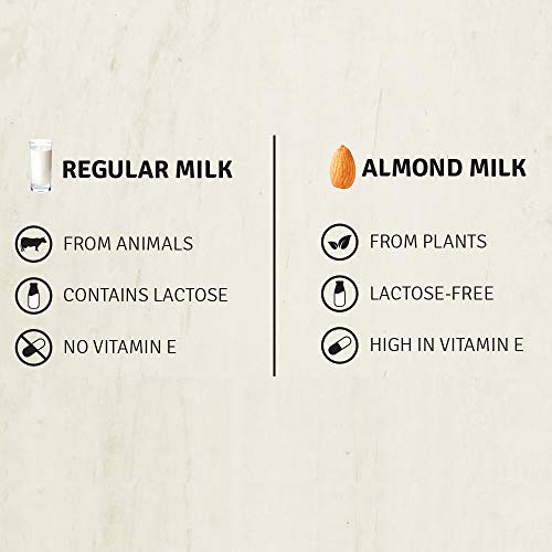 Image of Raw Pressery Almond Beverage Cacao (2 x 1000ML) 100% Lactose-Free, Plant Protein