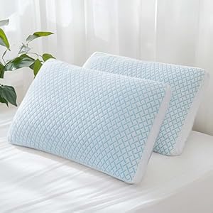 Shredded Memory Foam Cooling Soft Pillows Queen Size Set of 2, Adjustable Hypoallergenic Hotel Quality Pillow for Side, Back and Stomach Sleeper, Bamboo Viscose Cover, Oeko-TEX Certified