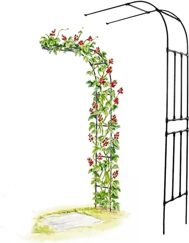 Arco para rosas medio lado jardín arco ancho 60-300 cm subterráneo 240 cm Rampicant Reticulum Archway Archway Plantas a medio camino (dimensiones: L250xh240 cm/L 8,2 x H7,9 pies)