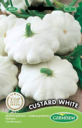 Germisem Custard White Semillas de Calabaza 2 g (EC4009)