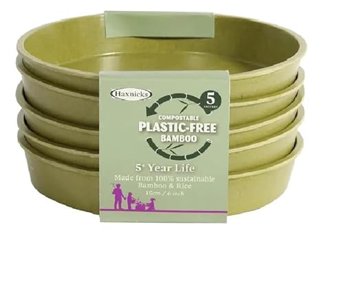 Garden Bamboo Seed Trays Pots & Saucers Sage Green or Terracotta indoor outdoor Greenhouse Compostable Bamboo Fibre Plastic Free 5 Year life (6 Sage Green Saucers)