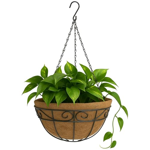 TECHZOCO Macetero de Coco Colgante, Maceta de Coco diseño Arabesco, Tiesto Colgar Flores, Fabricado en Fibra de Coco y Metal, Recipiente Pared para Flores, 20 cm diámetro x 11 cm Alto