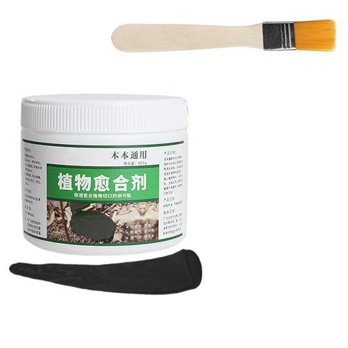 樹木保護剤 剪定枝切り口ケア | ブラシ付き木の傷保護剤,接ぎ木剤 500g 盆栽修復 芝生・庭木・果樹 屋外用植物ケア用