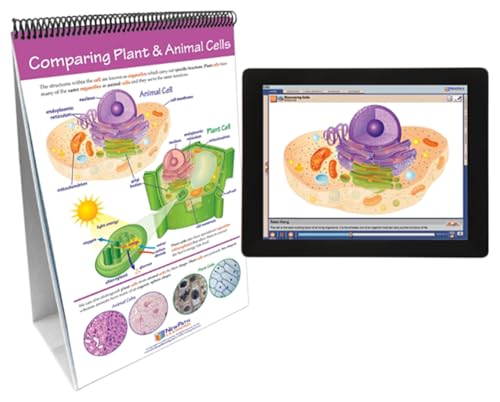 Image of Newpath All About Cells Flip Chart and Online Multimedia Lesson, Grades 6 through 10