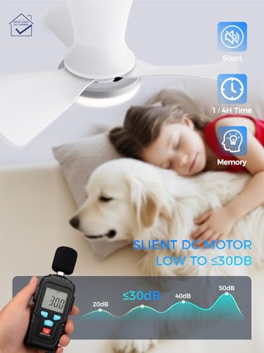 Image of LANMEL Ceiling Fan with Light, Modern Flush Mount Low Profile with Remote Control, Reversible, 3CCT Dimmable, Quiet,LED for Bedroom, Living Room, Indoor /Outdoor Patio Use 22 Inch Silver & White