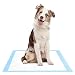 Amazon Brand Solimo Super Absorbent Odor Control Heavy Duty Leak Proof Pet Puppy Dog Training Pee Pads, Large, 50 Ct