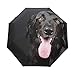 Produktbild LUPINZ Schwarzer Regenschirm mit Hundemotiv, 3-Fach faltbar, kompakt, mit UV-Schutz für Erwachsene und Kinder