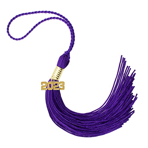 Tassel Depot 2023 Purple Graduation Tassel - Every School Color Available - Made in USA