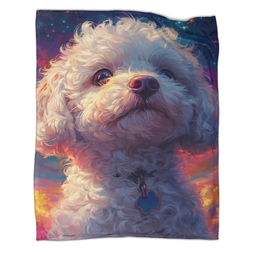 Couverture bichon maltais pour canapé et bureau cocooning